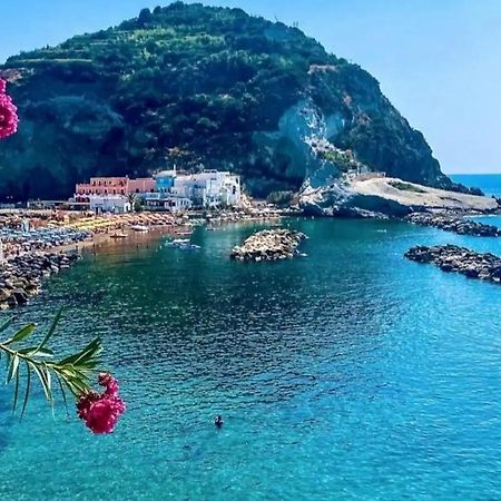 Mare Nostrum - Beachfront House - Sant'Angelo Ischia Sant'Angelo (Isola d'Ischia) Exterior foto