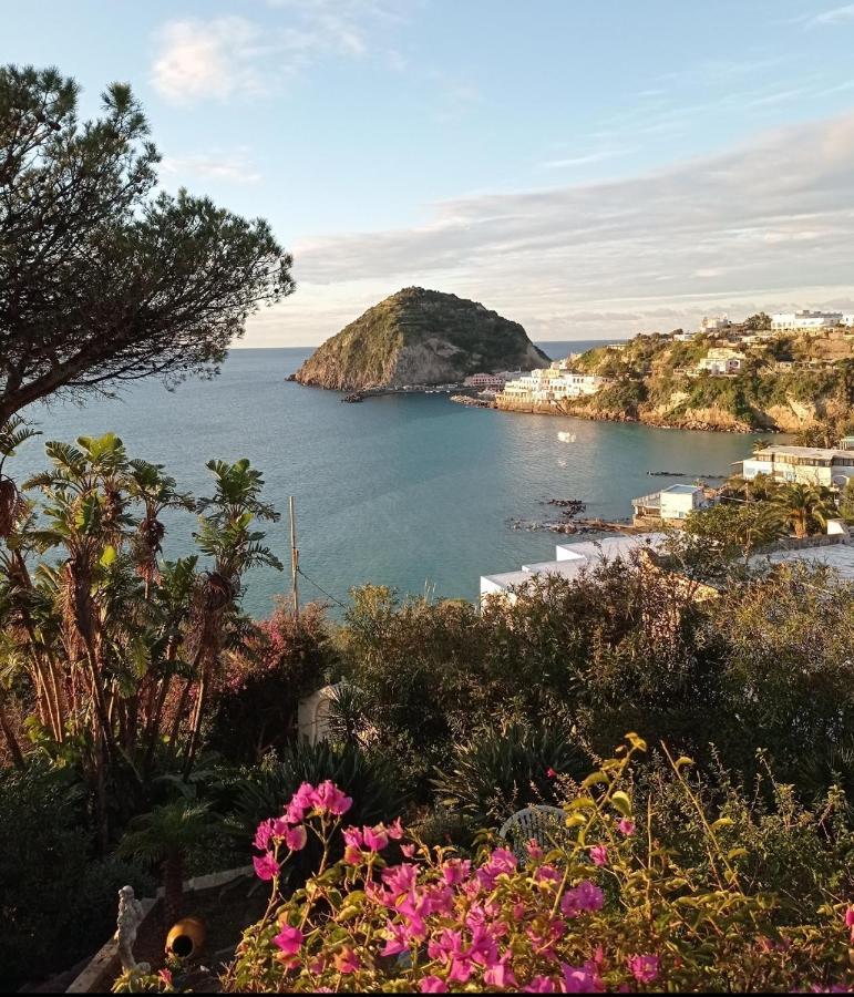 Mare Nostrum - Beachfront House - Sant'Angelo Ischia Sant'Angelo (Isola d'Ischia) Exterior foto
