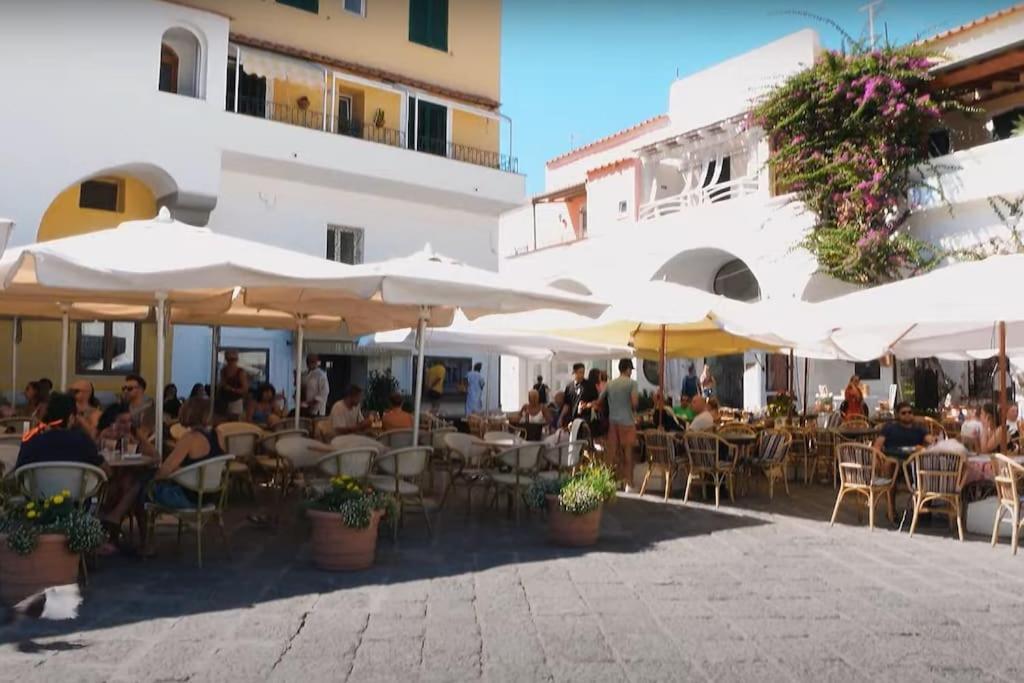 Mare Nostrum - Beachfront House - Sant'Angelo Ischia Sant'Angelo (Isola d'Ischia) Exterior foto